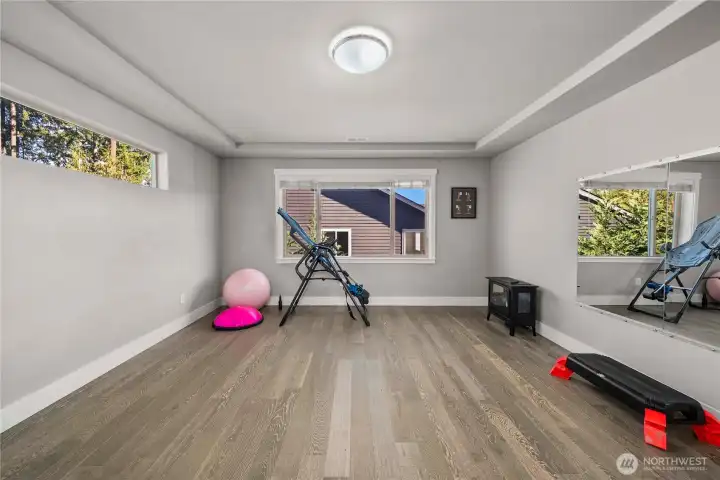 flex room number #2, could be a 5th bedroom just a add wardrobe, or a gym, theater room ??