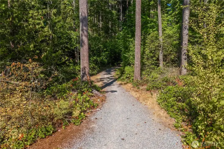 Tehaleh has  40+ miles of beautiful trails to adventure on! This was starts in the front yard!