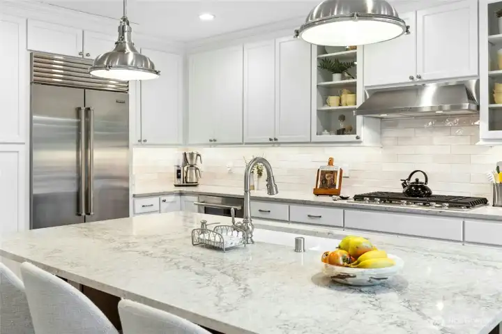 Built in SubZero fridge/freezer with ice and filtered water.