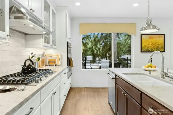 Everything a chef needs and wants - gas range, wall oven, built in microwave, deep double sinks.