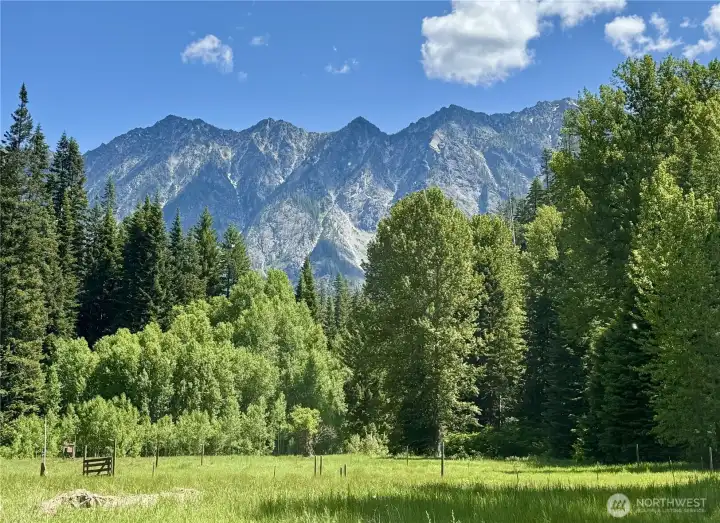 Tall Timber Entrance