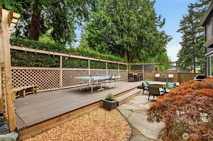 Huge Entertaining Deck