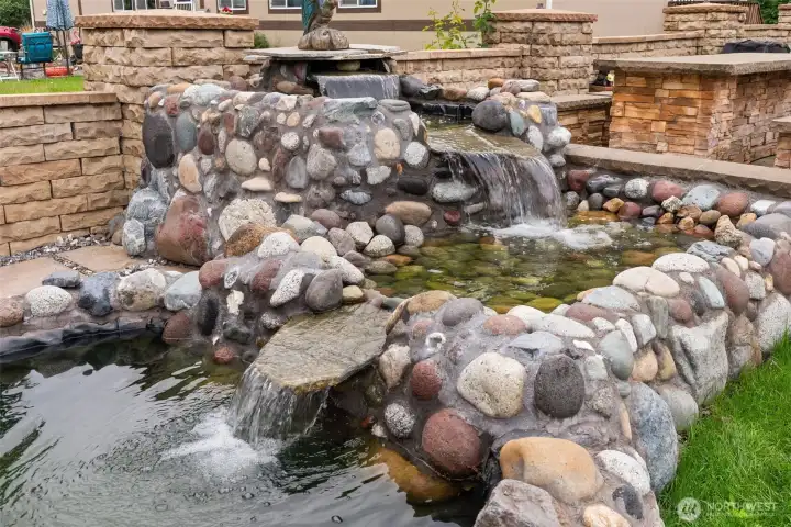 Pond