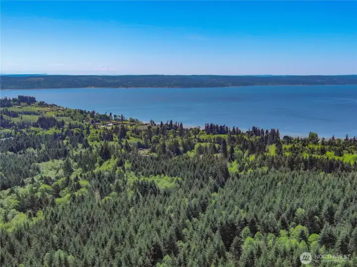 Mount Rainier is shown in the distance. On a clear day the Cascade mtn range is in full view. Two county boat launches are just minutes away. Mount Rainier is shown in the distance. On a clear day the Cascade mtn range is in full view. Two county boat launches are just minutes away.