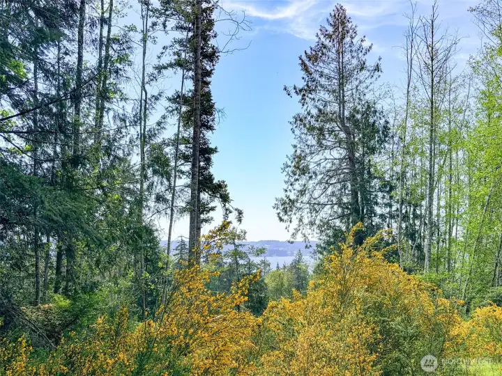 Southerly views from many vantage points. With some clearing, create some view homesites with plenty of sunshine. Southerly views from many vantage points. With some clearing, create some view homesites with plenty of sunshine.