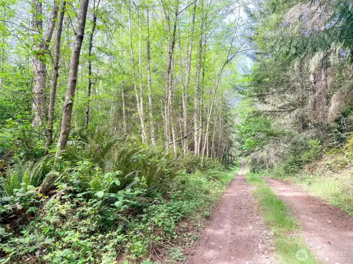 Established roadways. Established roadways.