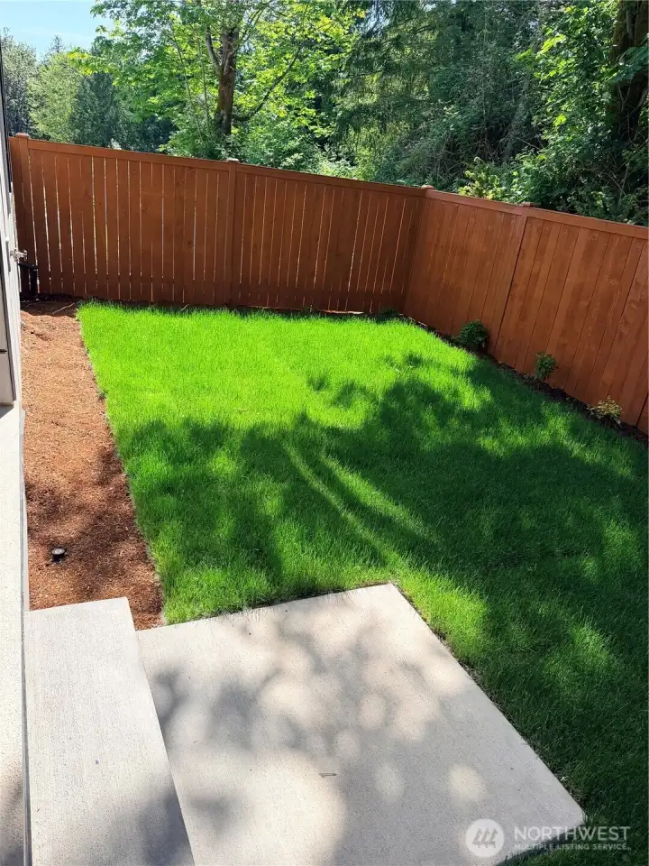Fenced backyard