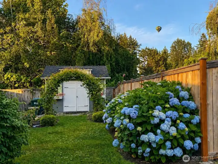 Shed with Hot Air Balloon Shed with Hot Air Balloon