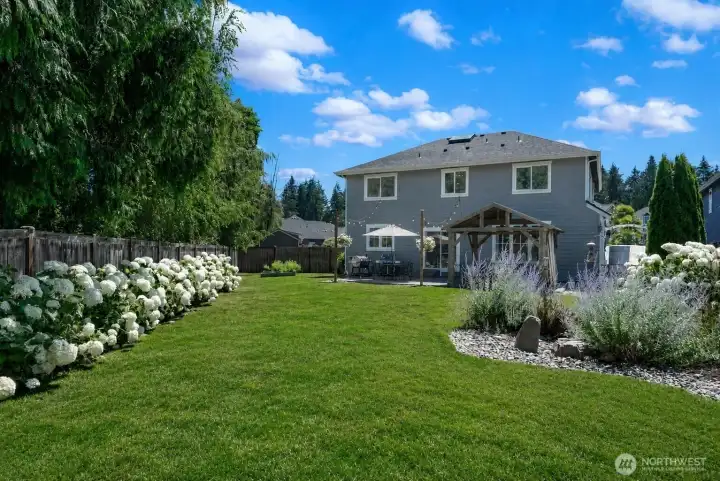 Large backyard Large backyard