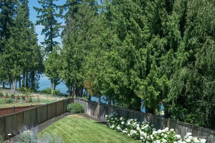 Lake views from Yard Lake views from Yard