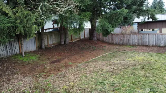 Corner view of the back yard.   Lots of room for gardens.   Opposite site of property has a few fruit trees.