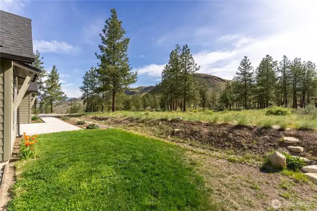 Lush, green grass, pictured here along the side of the house.