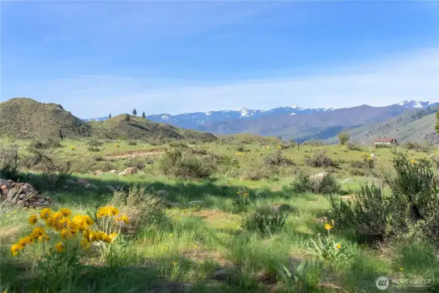 Beautiful views, looking out at the Sawtooth Range.