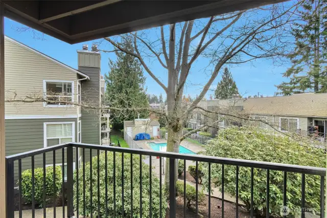 A mature northern red oak greets you from the balcony! Just beyond, you'll find views of the pool. It's far enough away to be seen and rarely heard!