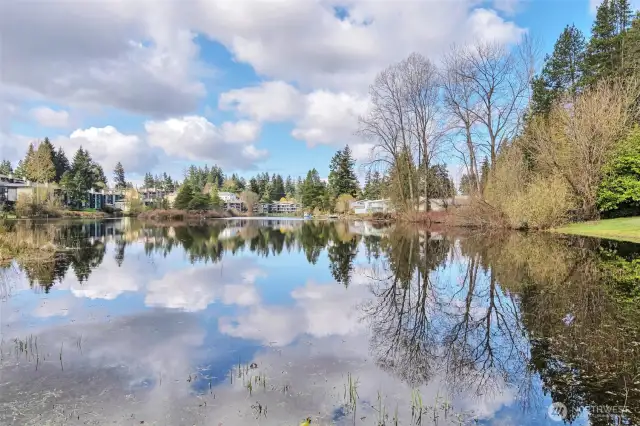 Once you're by the lake, you'll forget you're in the city! But the prime location gives you all the city resources at your fingertips!