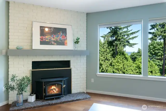 Wood Burning Fireplace