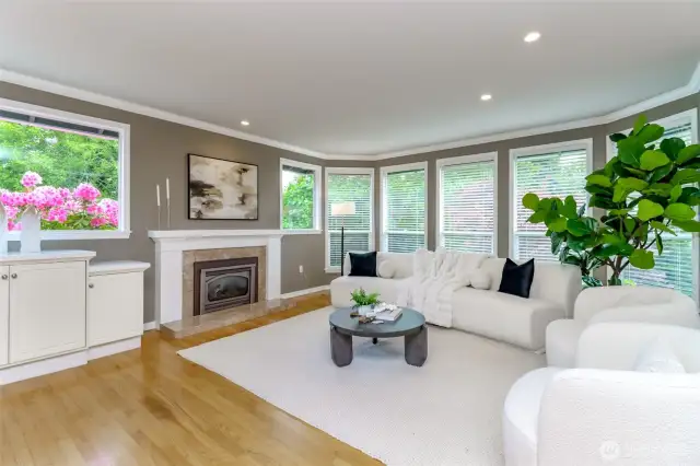 Gas fireplace and expansive windows. Additional storage