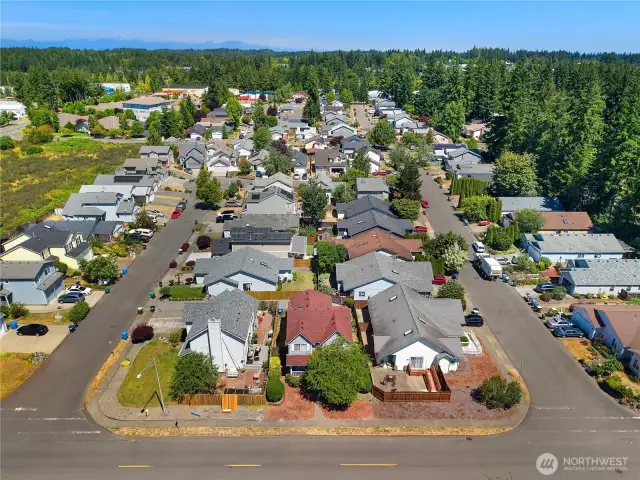 An aerial of the cute subdivision.