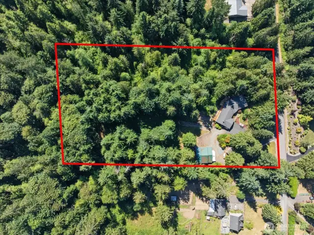 4.6 acres in coveted Snohomish nestled in privacy yet close to all the amenities like shopping & dining with easy access for commuting.