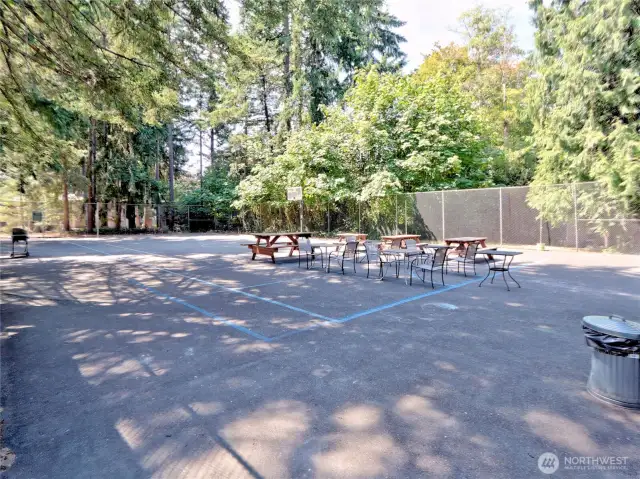 Sport and activity court