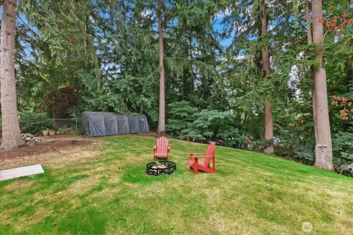 Large backyard