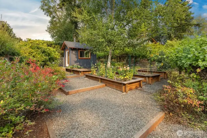 fully fenced garden is terraced and has 5 large raised garden beds.