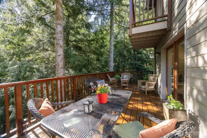 Looking across the expansive deck off the family room that is surrounded by evergreens and sunlight. The private deck above is off the primary suite.