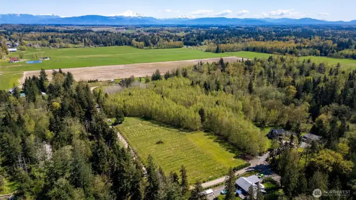 Front orchard upon entering the 15 acre estate.