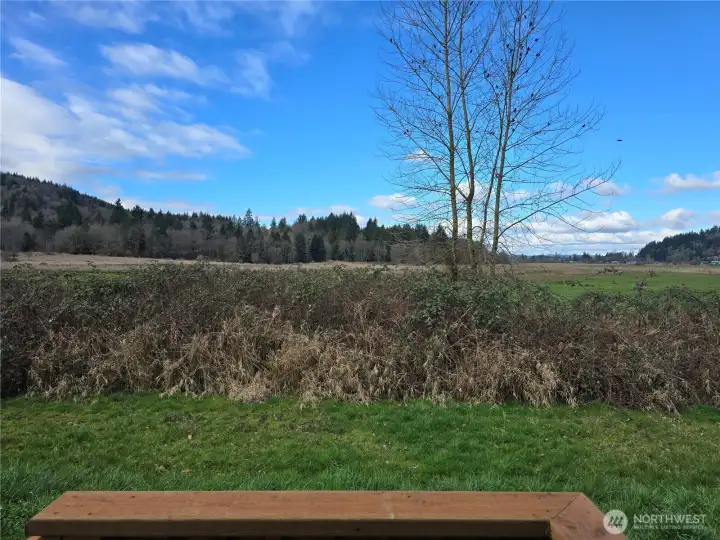 Backyard space with peaceful open views over the neighboring farm—enjoy quiet mornings from your porch and listen to the birds signing in the tree.