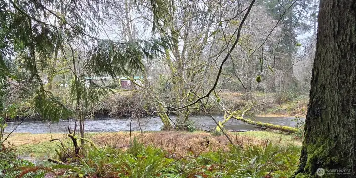 Creek frontage