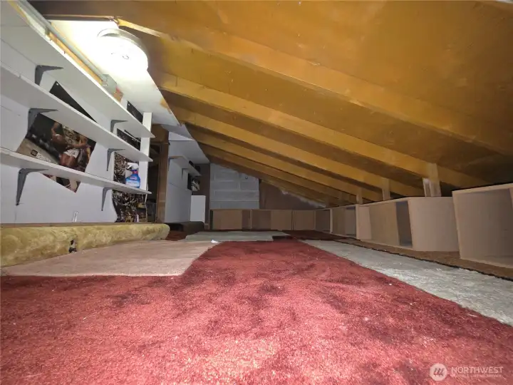 View of attic at the top of the ladder. Great for storage or maybe a play room?