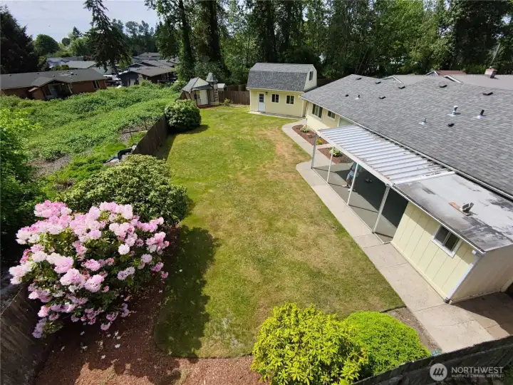 A nice view of the properties large back yard.