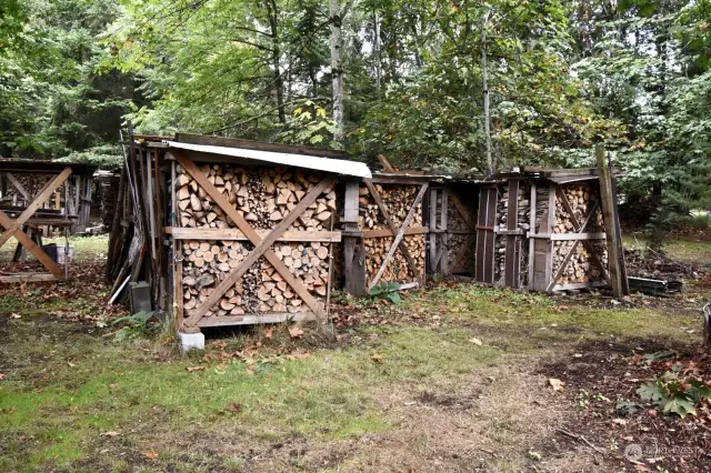 Plenty of firewood!