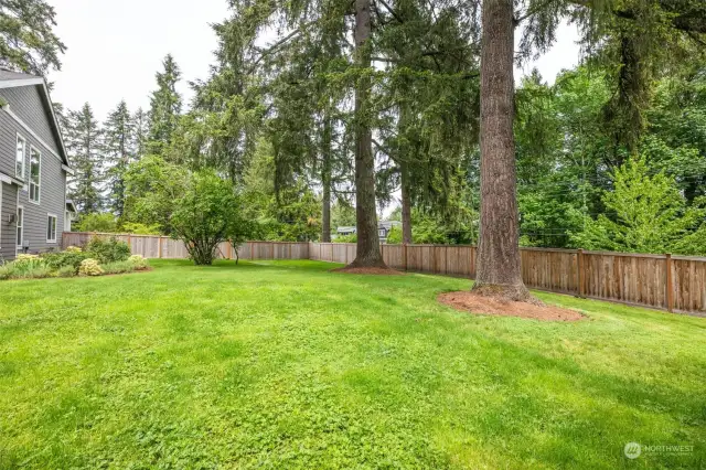 The side yard is large enough to add a sport court or swimming pool.