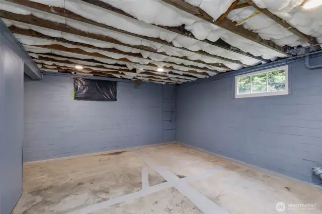 More basement storage