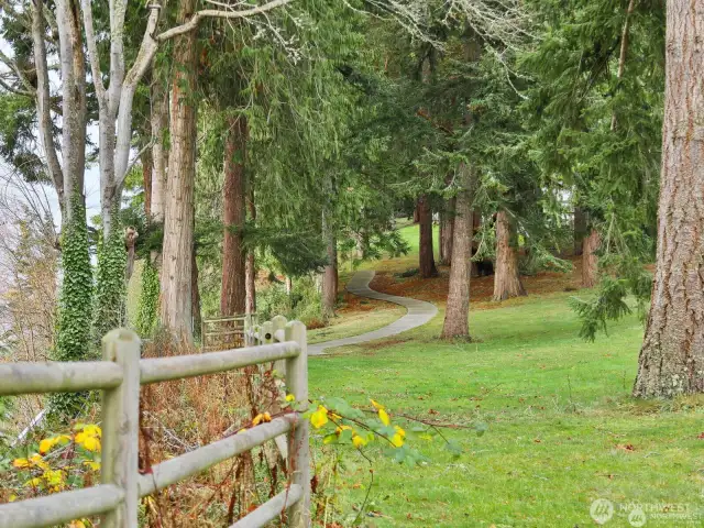 Trail by bluff