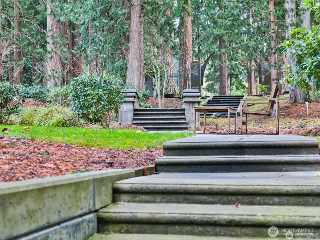 Garden steps area