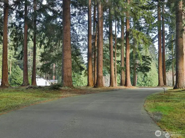 Main drive