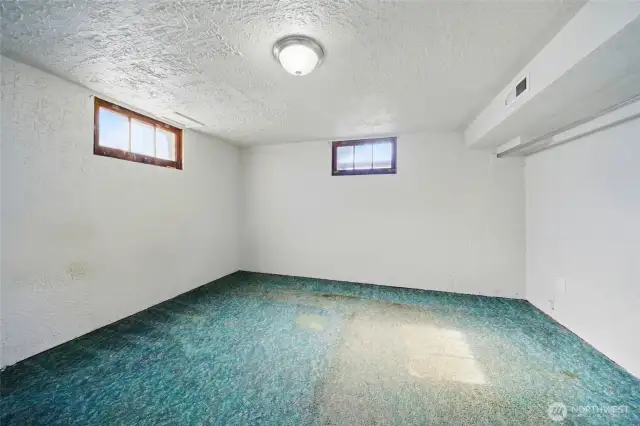 Basement room #2