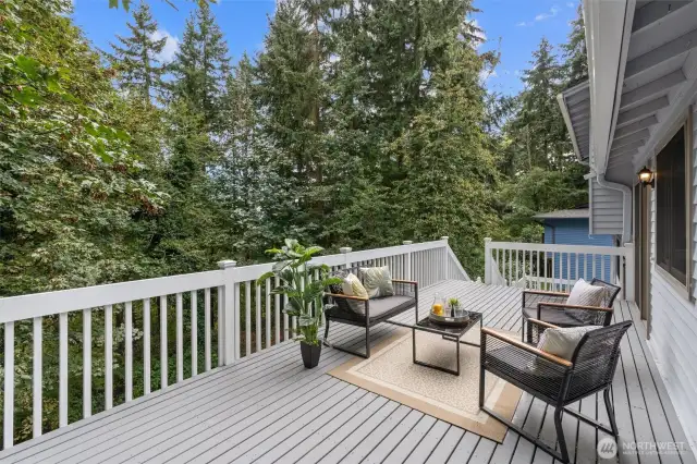 Large back deck
