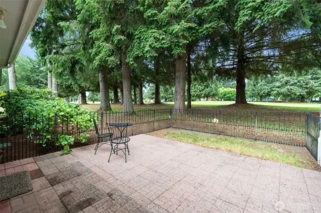View from the patio.