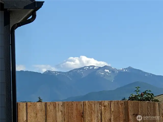 Mtn Views