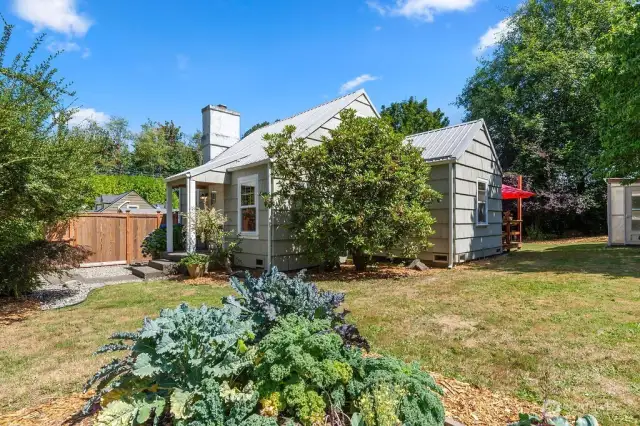 Garden and Backyard