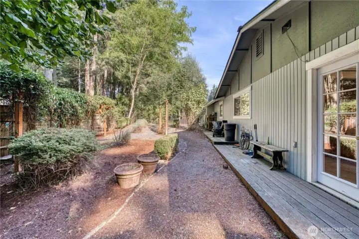 Side yard with plenty of garden space and fruit trees.