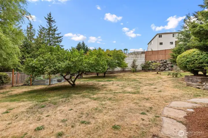 Large, sunny yard with multiple trees and open play space.