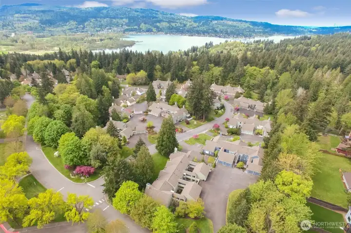 Aerial View of Meadow Village and condo cul-de-sac