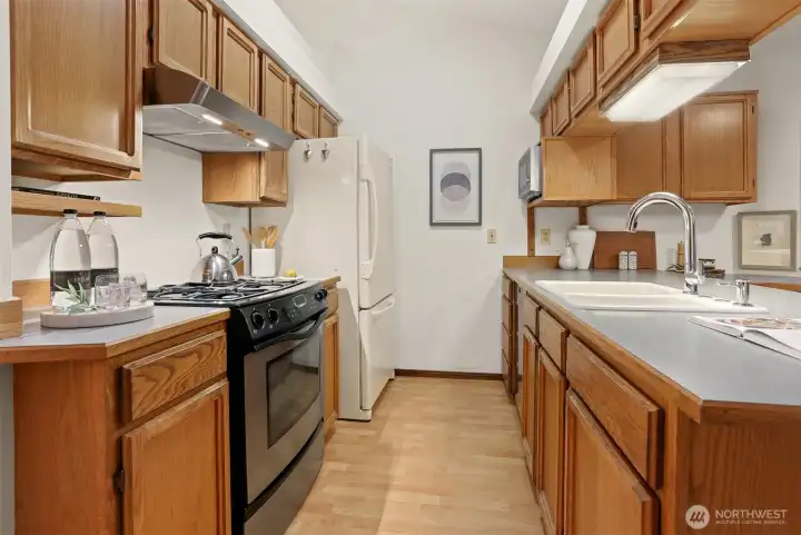 Cook's kitchen with abundant cabinet space.