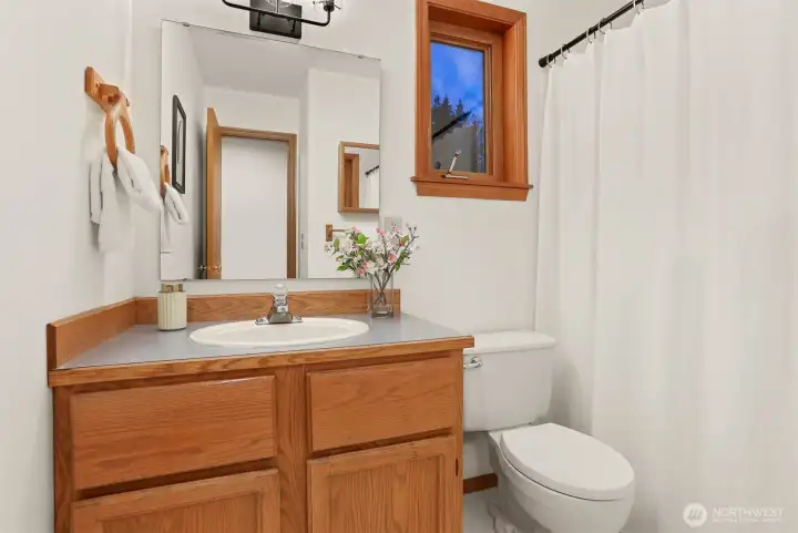 Lower level full bath.