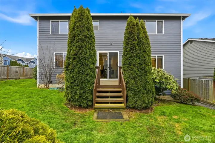 Fully fenced back yard