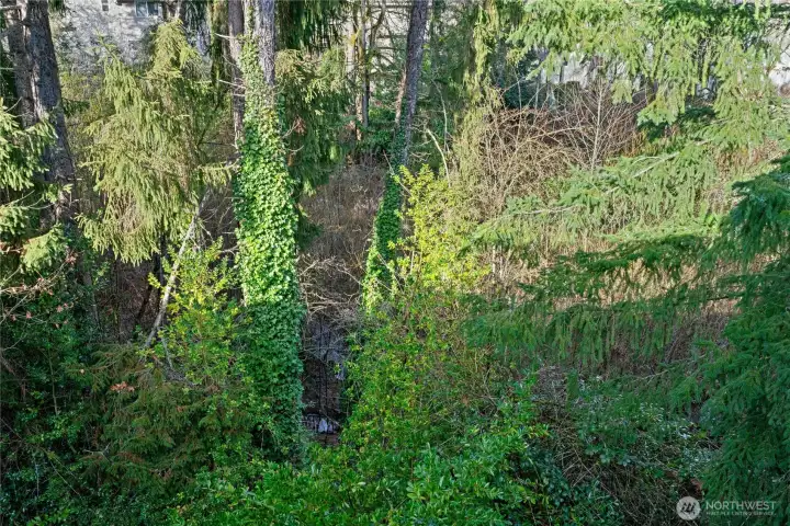 Enjoy your own woodland sanctuary, complete with soothing natural views and a gentle stream